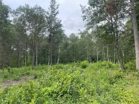 Residential Land in Pequot Lakes
