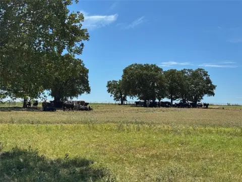 50 Acres in Poolville, TX
