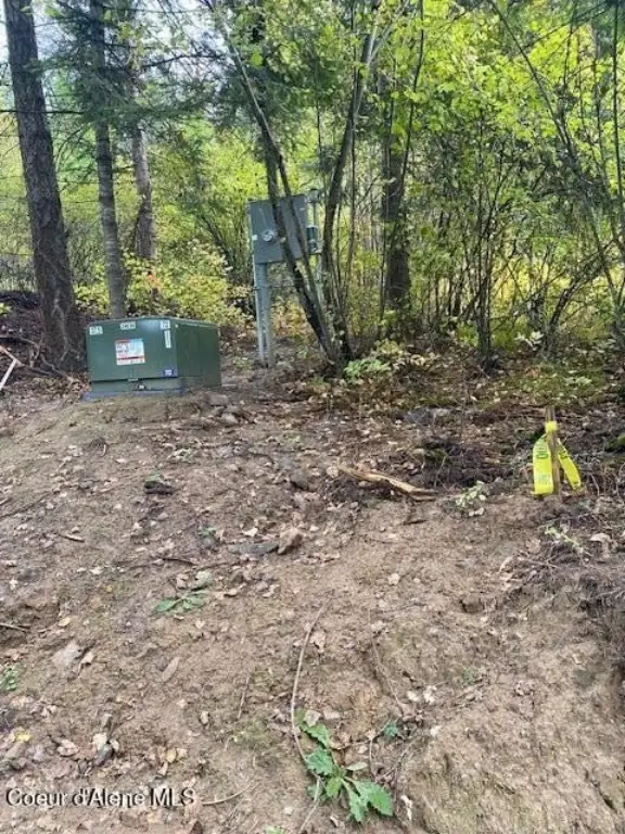 Picture 5