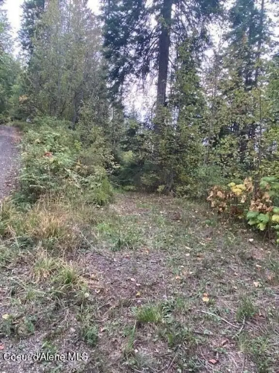 Picture 3