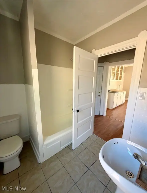 Picture 5