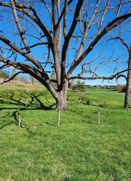 Residential Building Lots in Staunton, VA