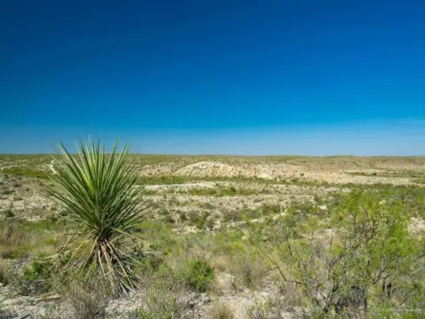 98+ Acres in Terrell County