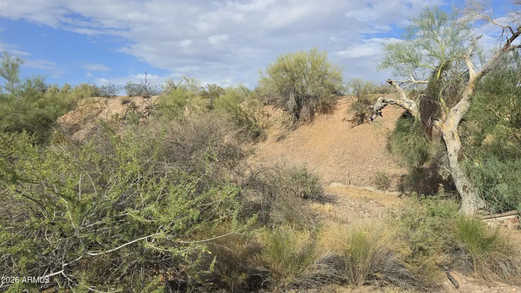 Picture 7