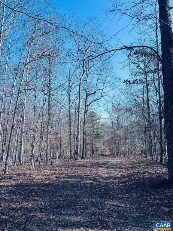 Picture 4