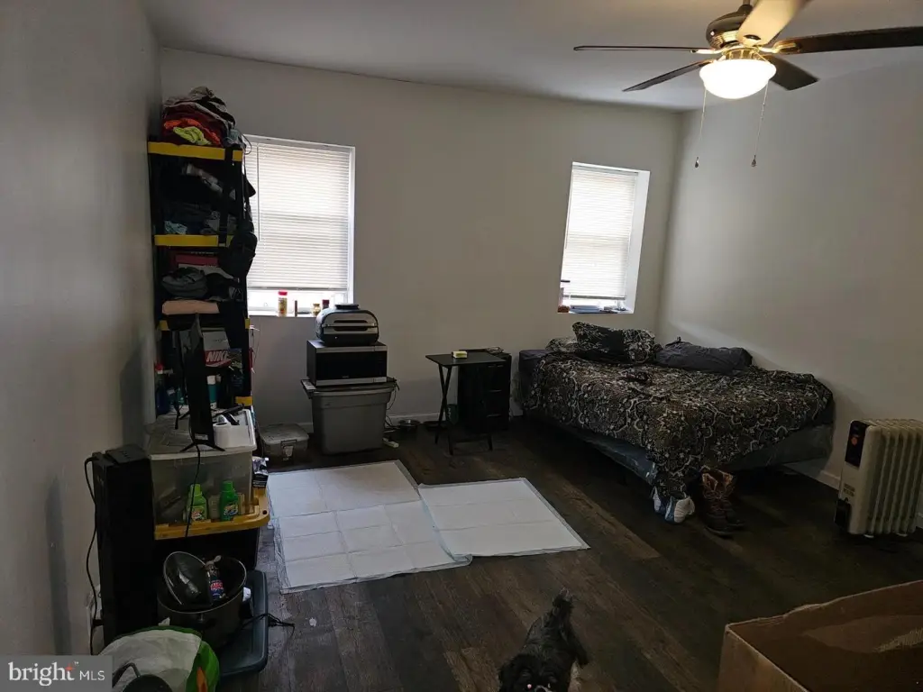 Picture 19