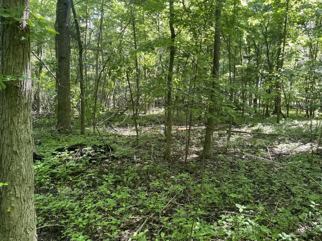Picture 16