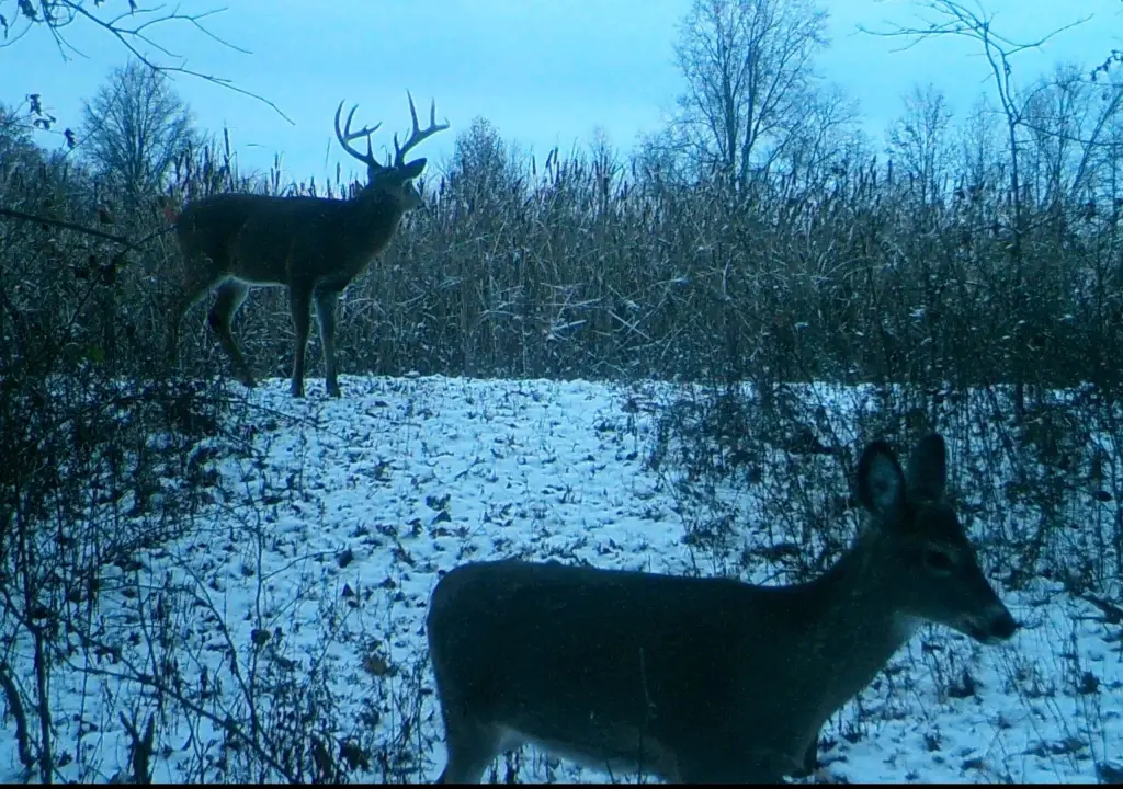 Picture 24