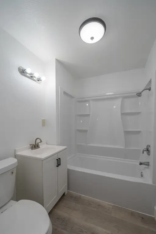 Picture 23