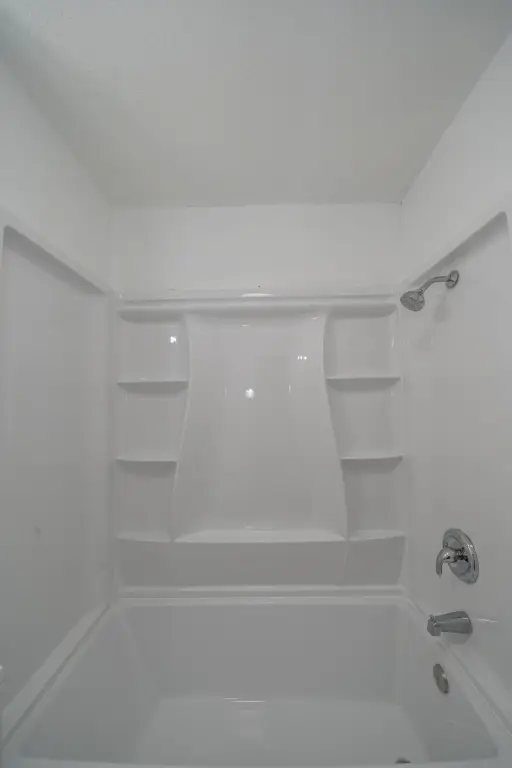 Picture 24