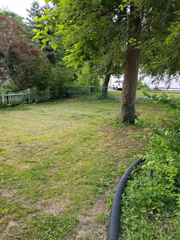 Picture 29