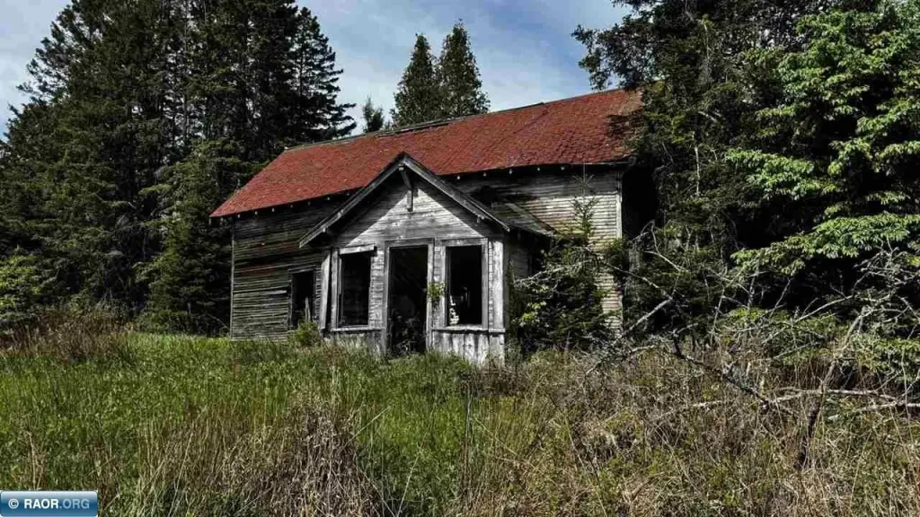 Picture 8