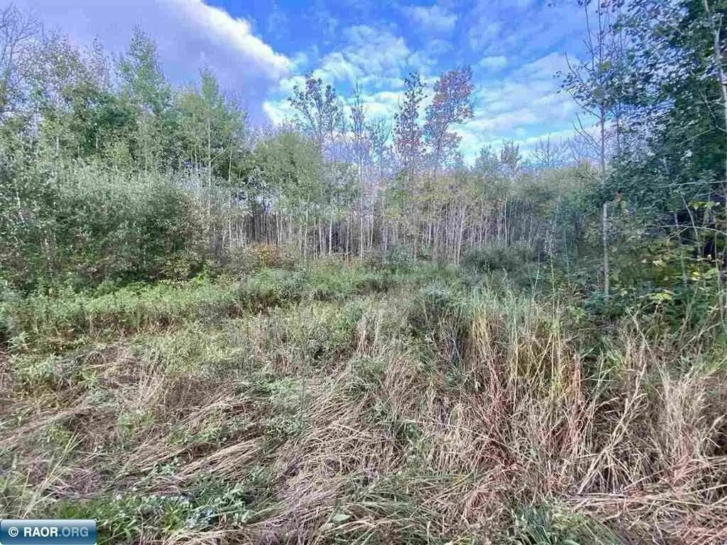 Picture 10