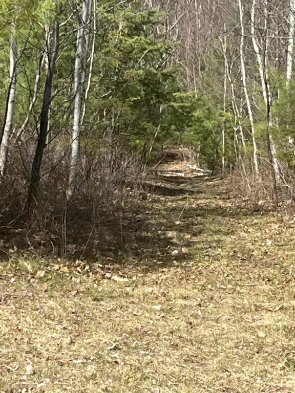 Picture 3