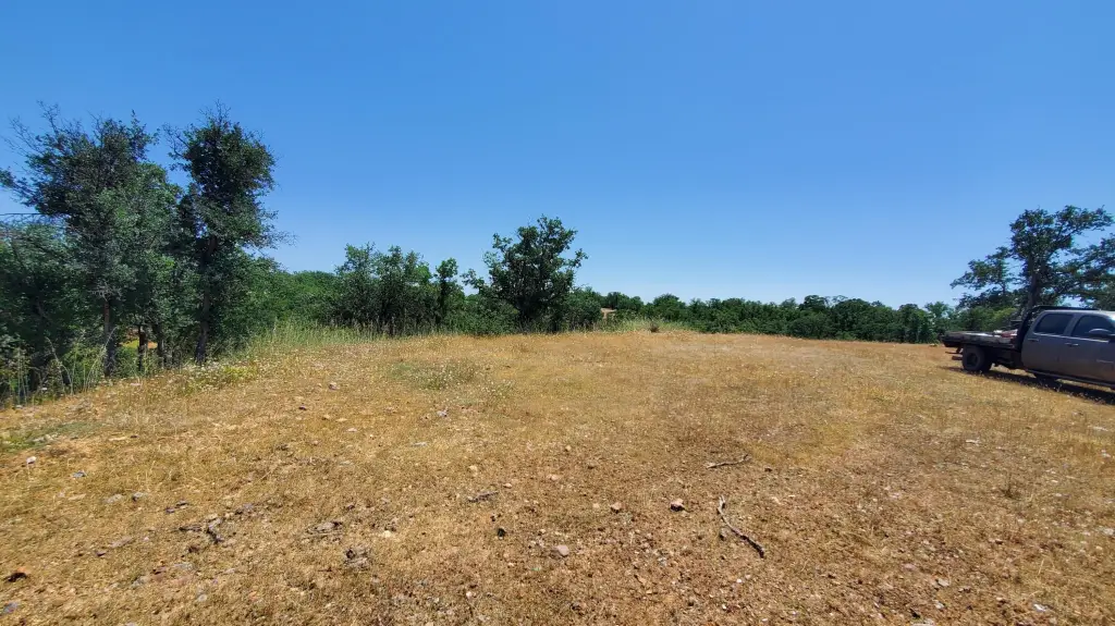 Picture 23