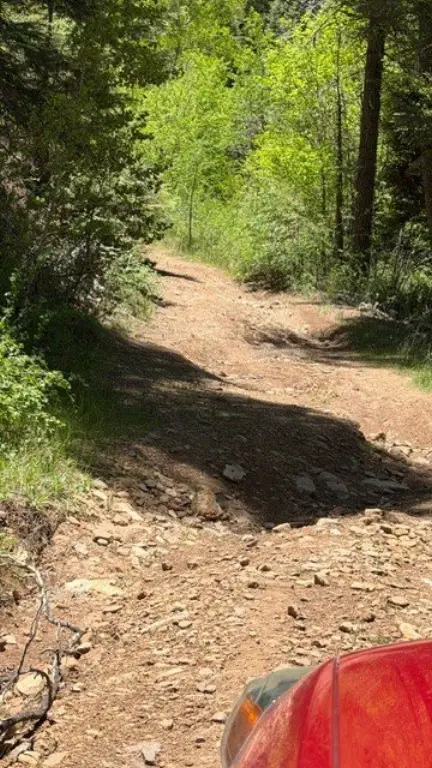Picture 32