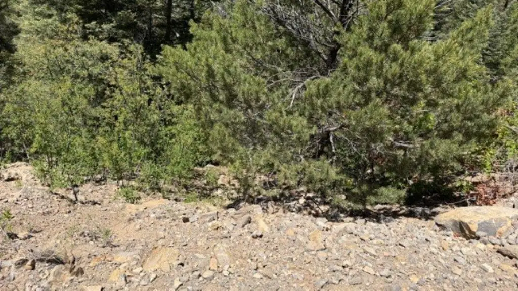 Picture 16