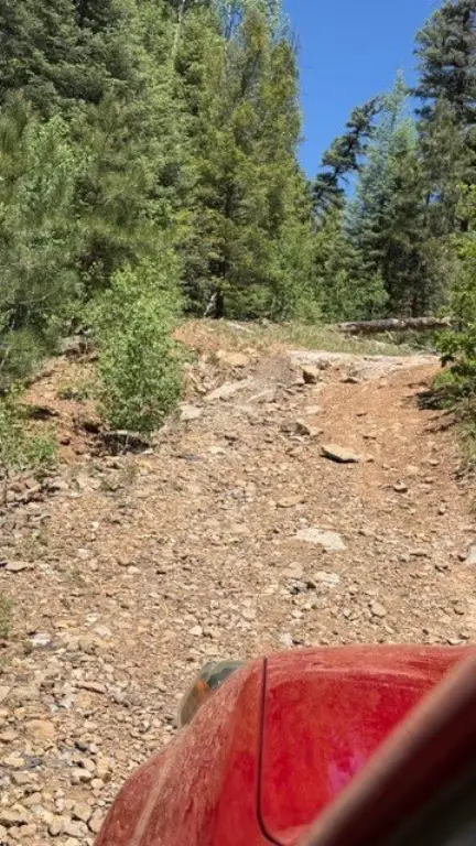 Picture 17