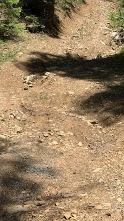 Picture 33