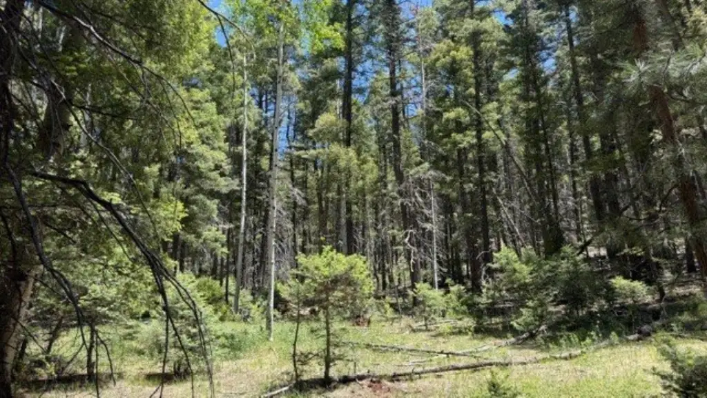 Picture 14
