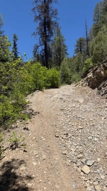 Picture 47