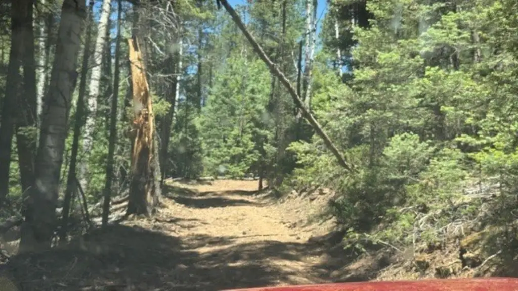 Picture 28
