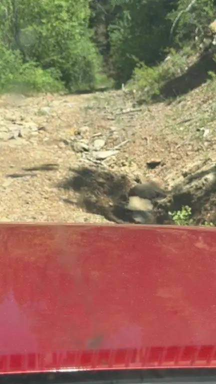 Picture 21