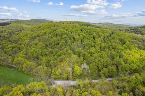 Woodstock Land with View Potential