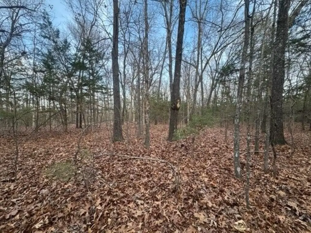 Picture 7