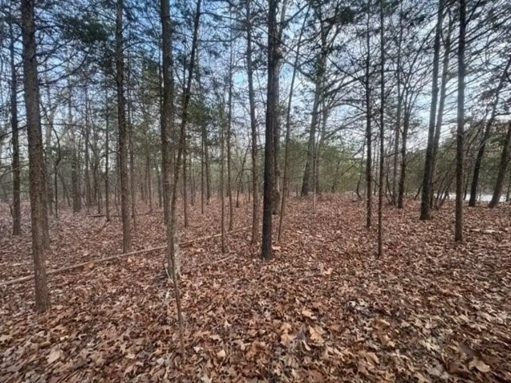 Picture 4
