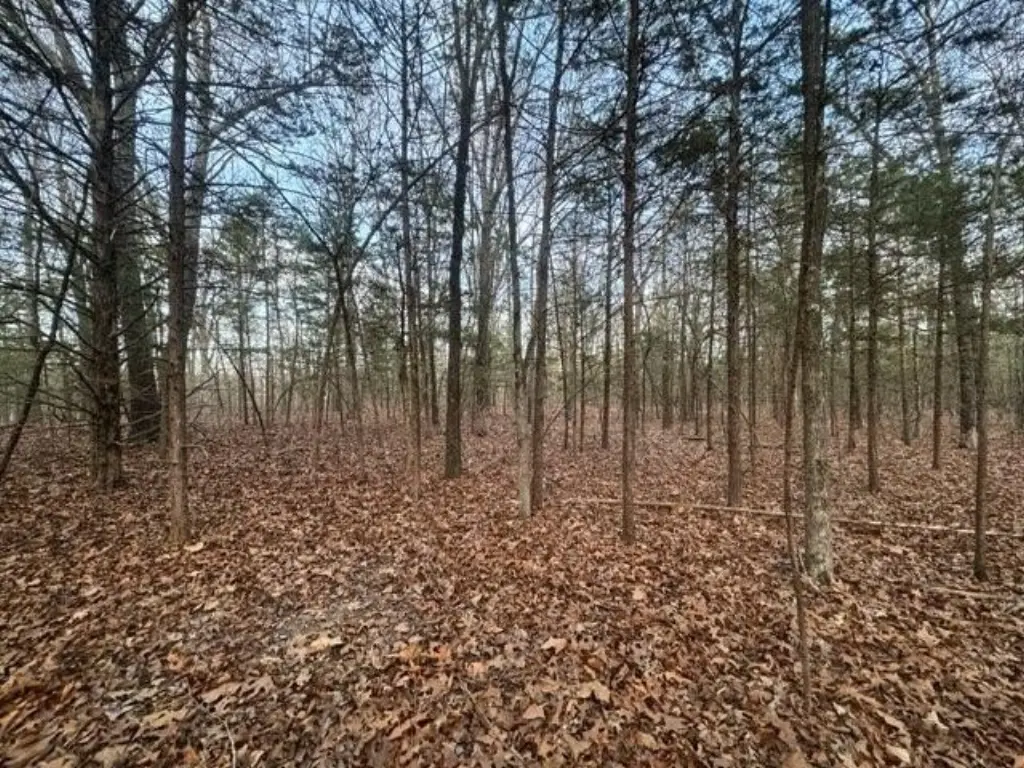 Picture 3