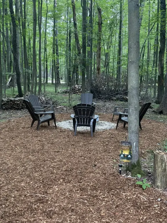 Picture 5