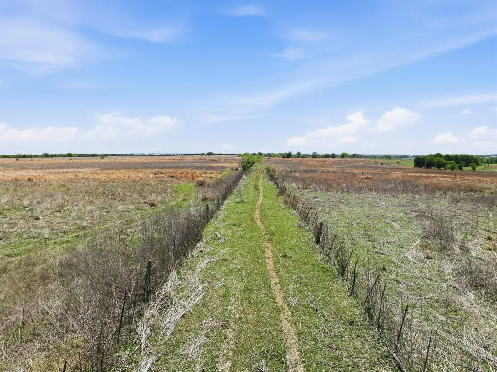 Picture 15