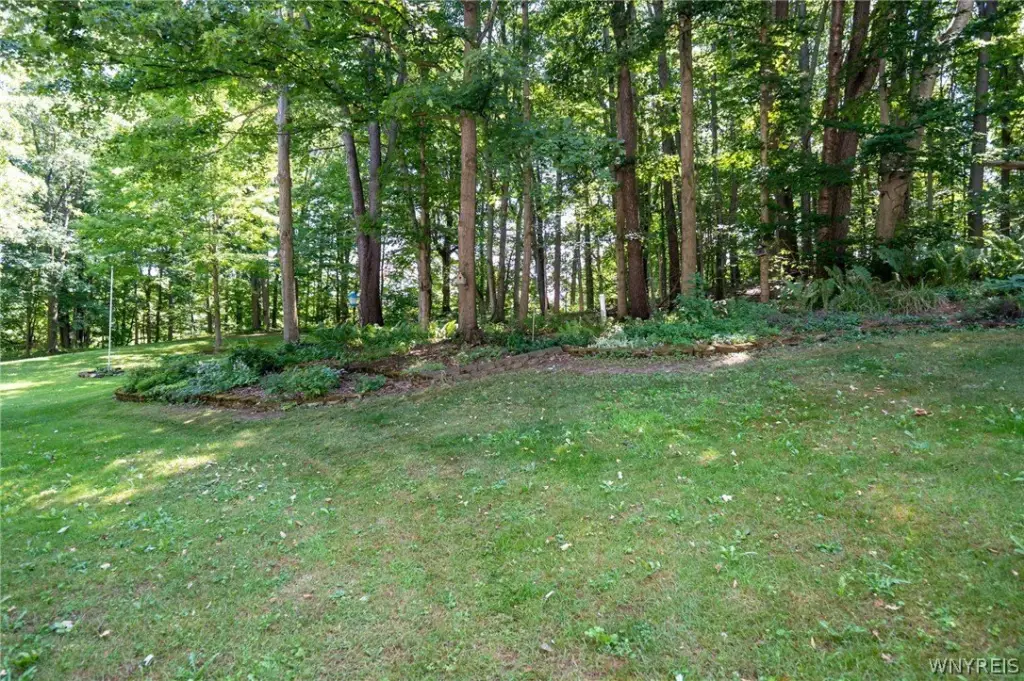 Picture 11