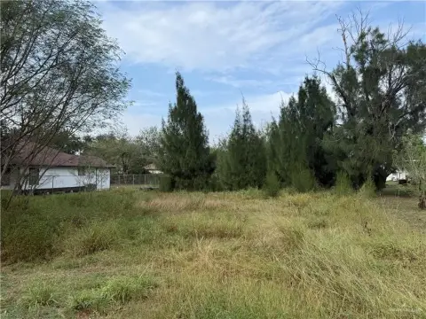 Residential Lot in Edinburg, TX
