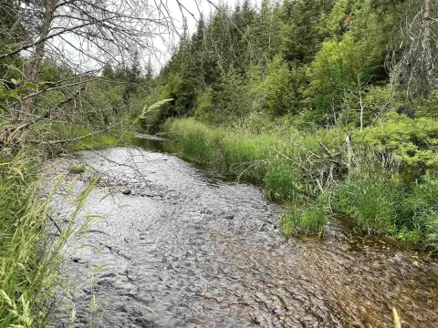 Idaho Land Near Pierce