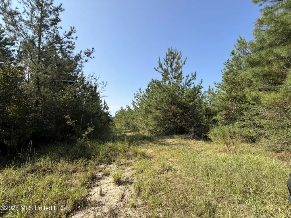 Picture 10