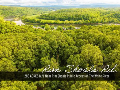 Hunting Land with Mature Timber