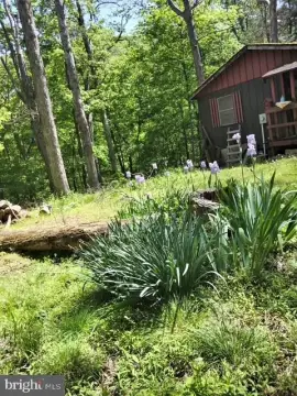 Private Land with Cabin, River Access