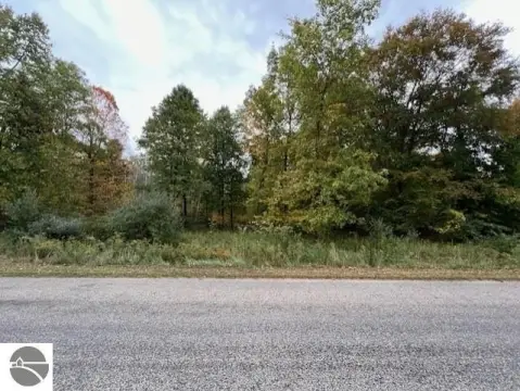 Perrinton Wooded Lot Near Lake