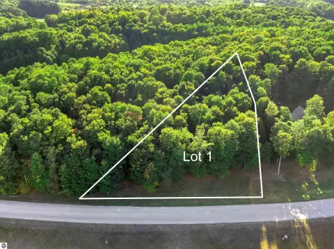 Beulah, MI Wooded Vacant Lot