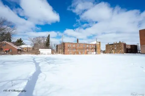 Detroit Investment Opportunity: Multi-Family & Land