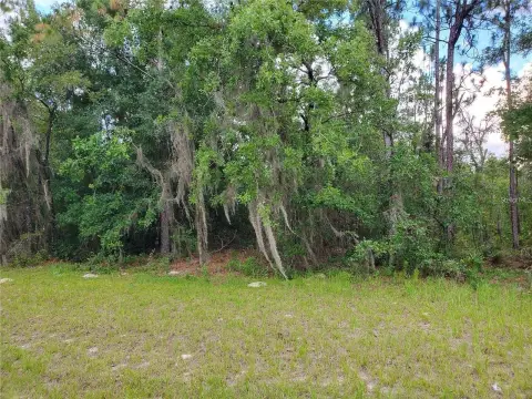 Residential Lot in Marion Oaks