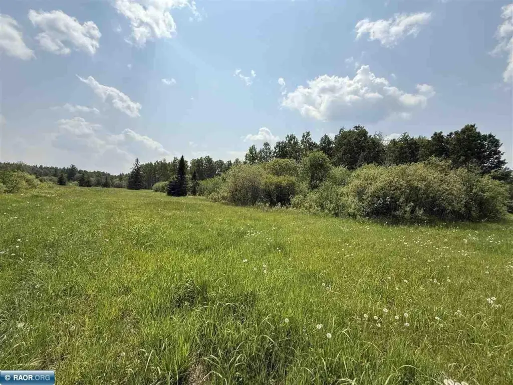Picture 31