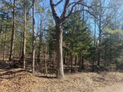 Land Near Pat Mayse Lake