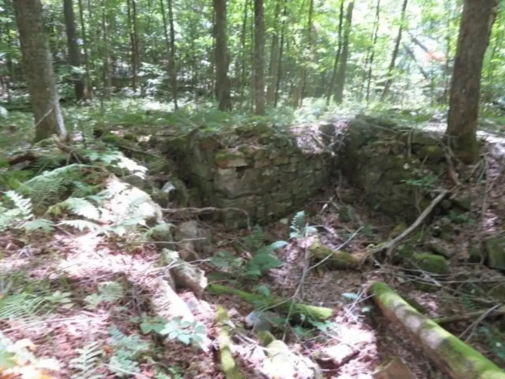 Picture 4