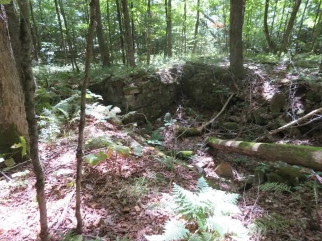 Picture 3