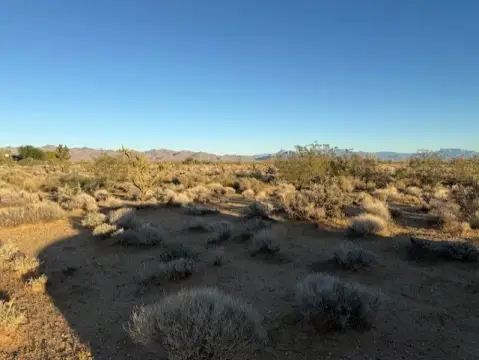 Golden Valley Desert Land Parcel