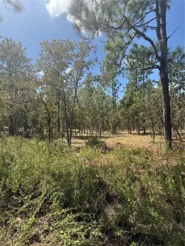 Spacious Dunnellon Land Parcel