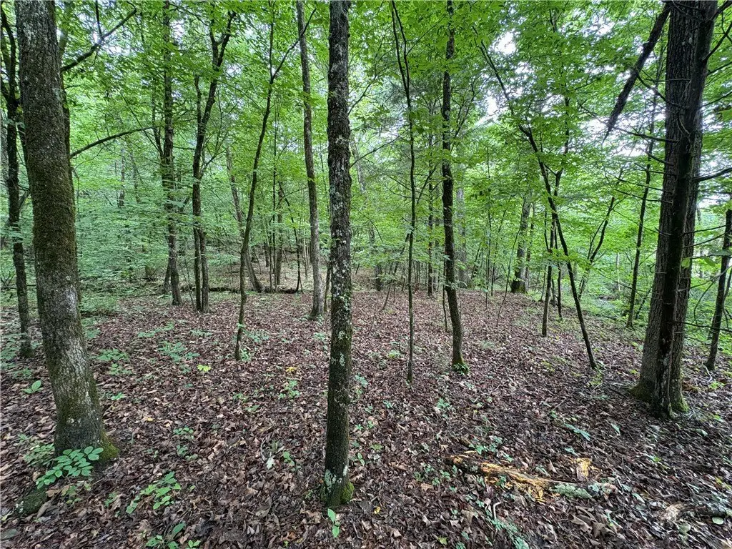 Picture 18